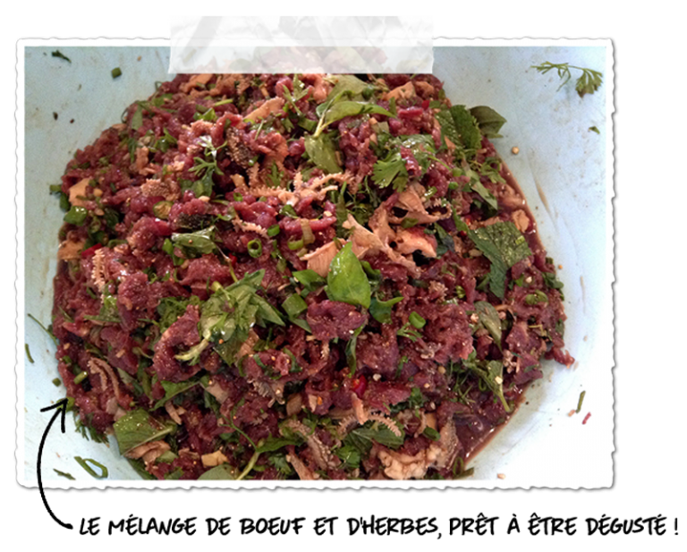 Le Lap Un plat incontournable de la cuisine laotienne