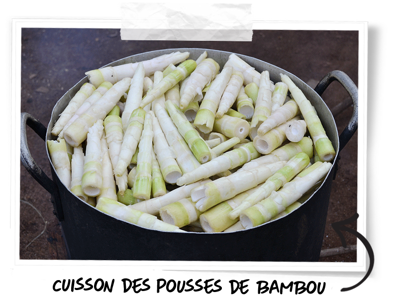 Les pousses de bambou dans la gastronomie vietnamienne