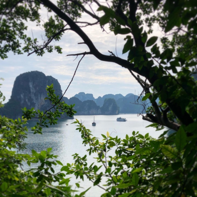 Thiên Canh Sơn, petite grotte dans la baie de Bai Tu Long, avec de belles structures géologique et des airs de repair de pirates ! #thiencanhsoncave #halongbay #baitulongbay #vietnam #travelvietnam #voyageauvietnam #croisières #grotteskarstiques #carnetsdasie