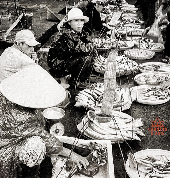 Fish market #voyagevietam #travelvietnam #fishmarket #carnetsdasie