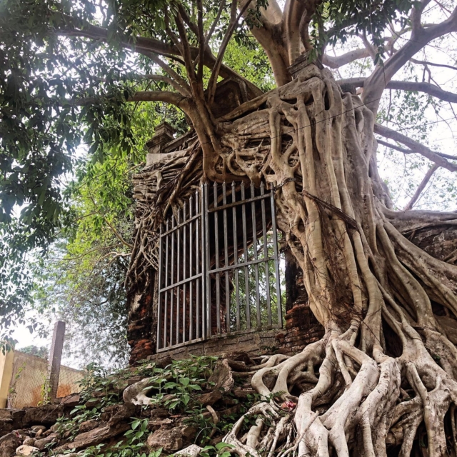 Tout à l’est de la province de Nghệ An entre la frontière Laotienne et le parc national de Pù Mát #nghean #vietnam #congphutuong #oldgate #naturetakesback #vieillesportes #cuarao #rungsangle #voyageauvietnam #voyagevietnam #travelvietnam #voyageenasie #carnetsdasie