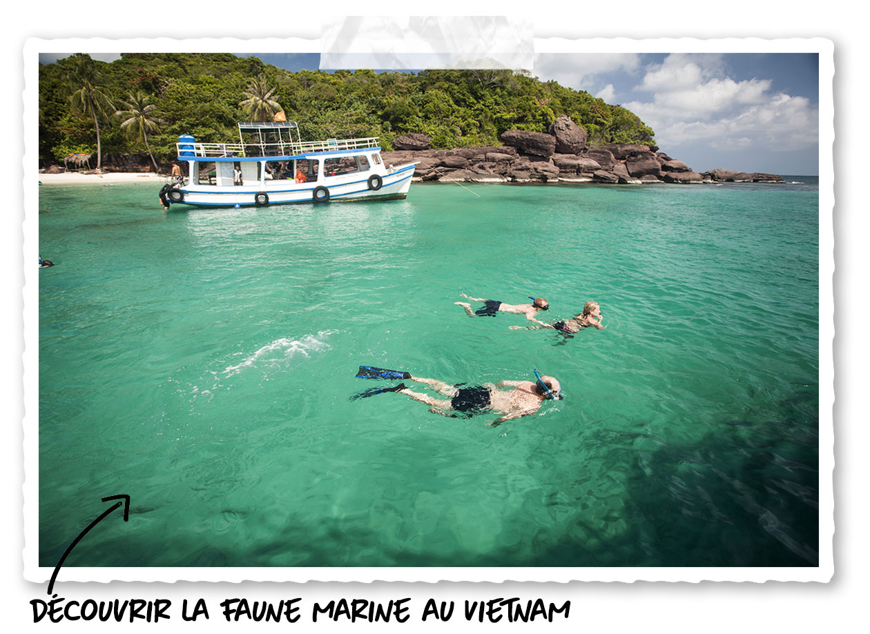 Snorkeling dans les îles du Vietnam