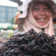 Déguster des insectes au Cambodge