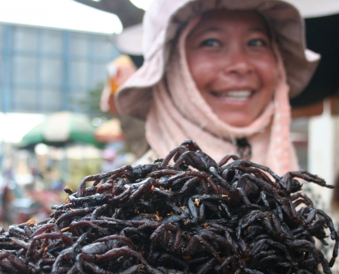 Déguster des insectes au Cambodge