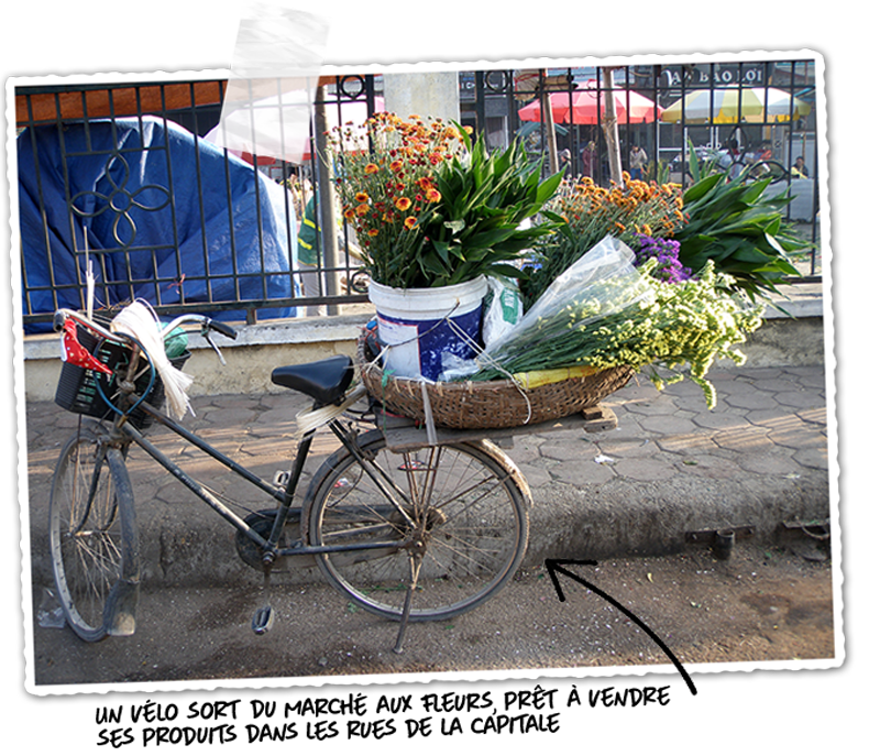 Le marché aux fleurs de Quang ba