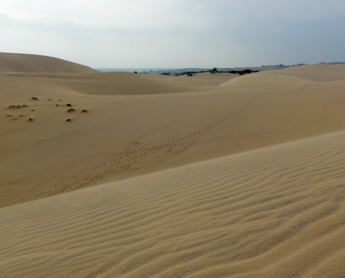 Les dunes de Mui Ne