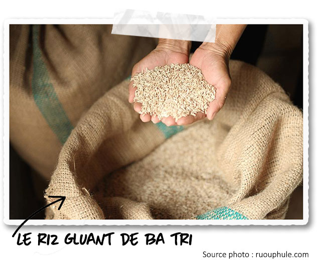 Le riz gluant de Ba Tri 