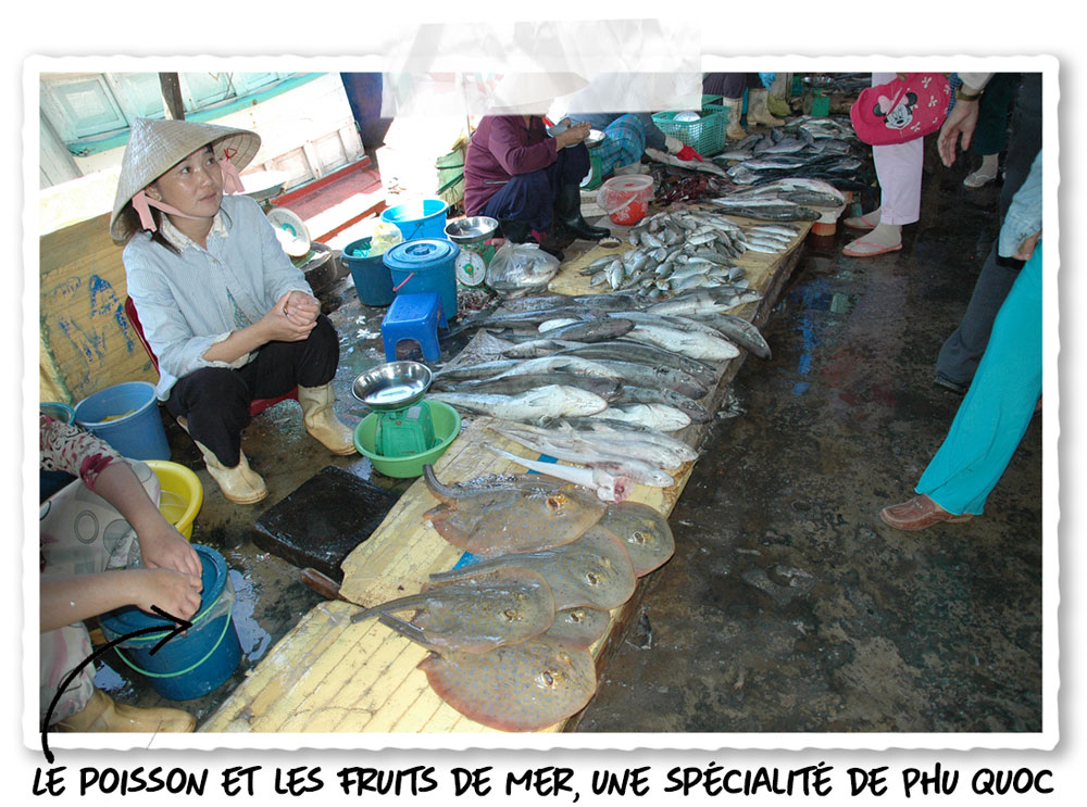 Le marché aux poissons de Phu Quoc