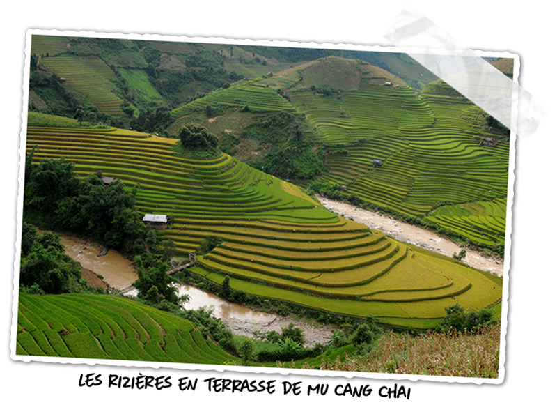 Trek dans les rizières de Mu Cang Chai