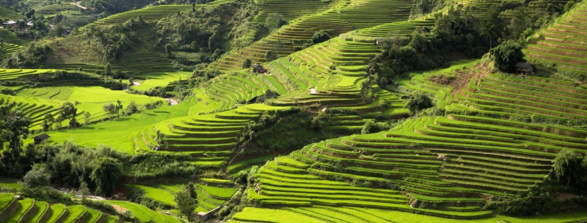 Les rizières du nord du Vietnam avec le blog 1idee