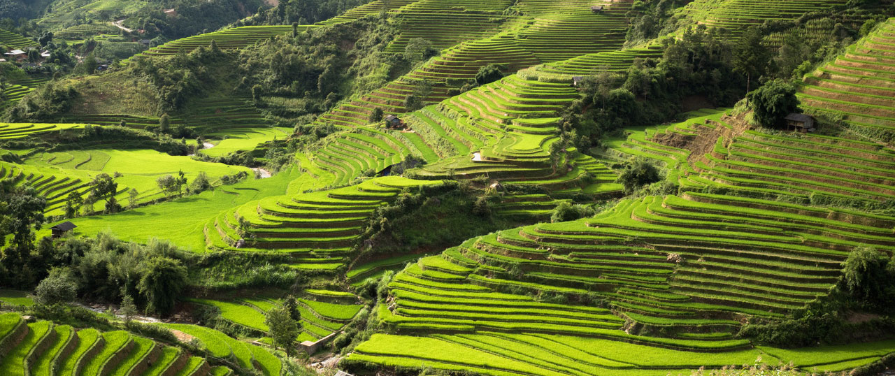 Les rizières du nord du Vietnam avec le blog 1idee