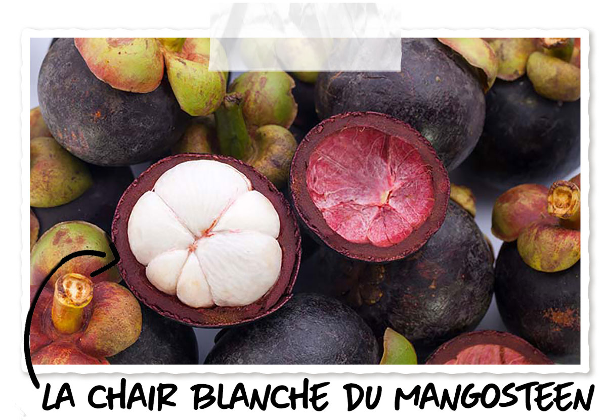 Le mangoustan, l'un des fruits exotiques du Vietnam