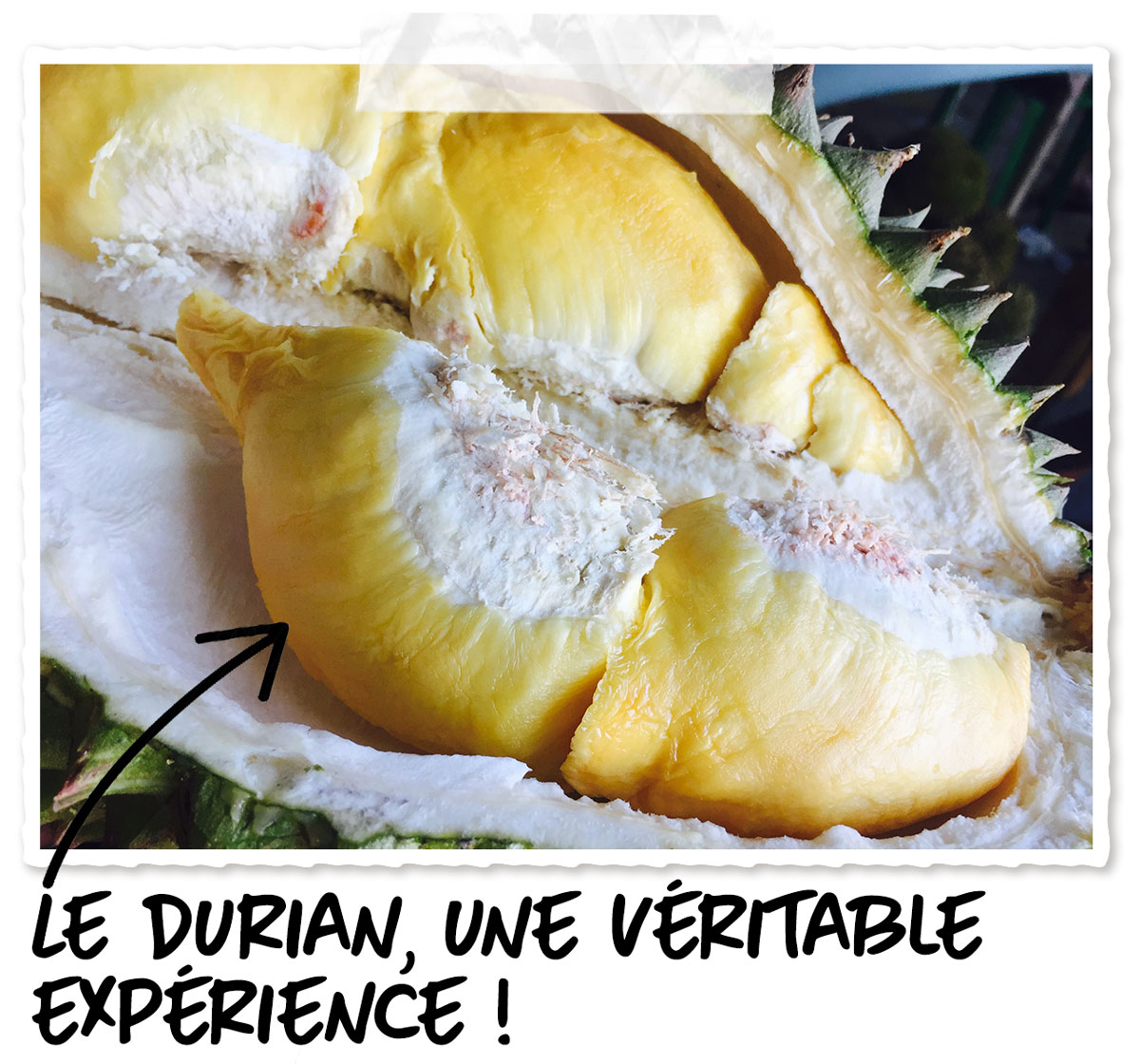 Le durian, un fruit controversé au Vietnam
