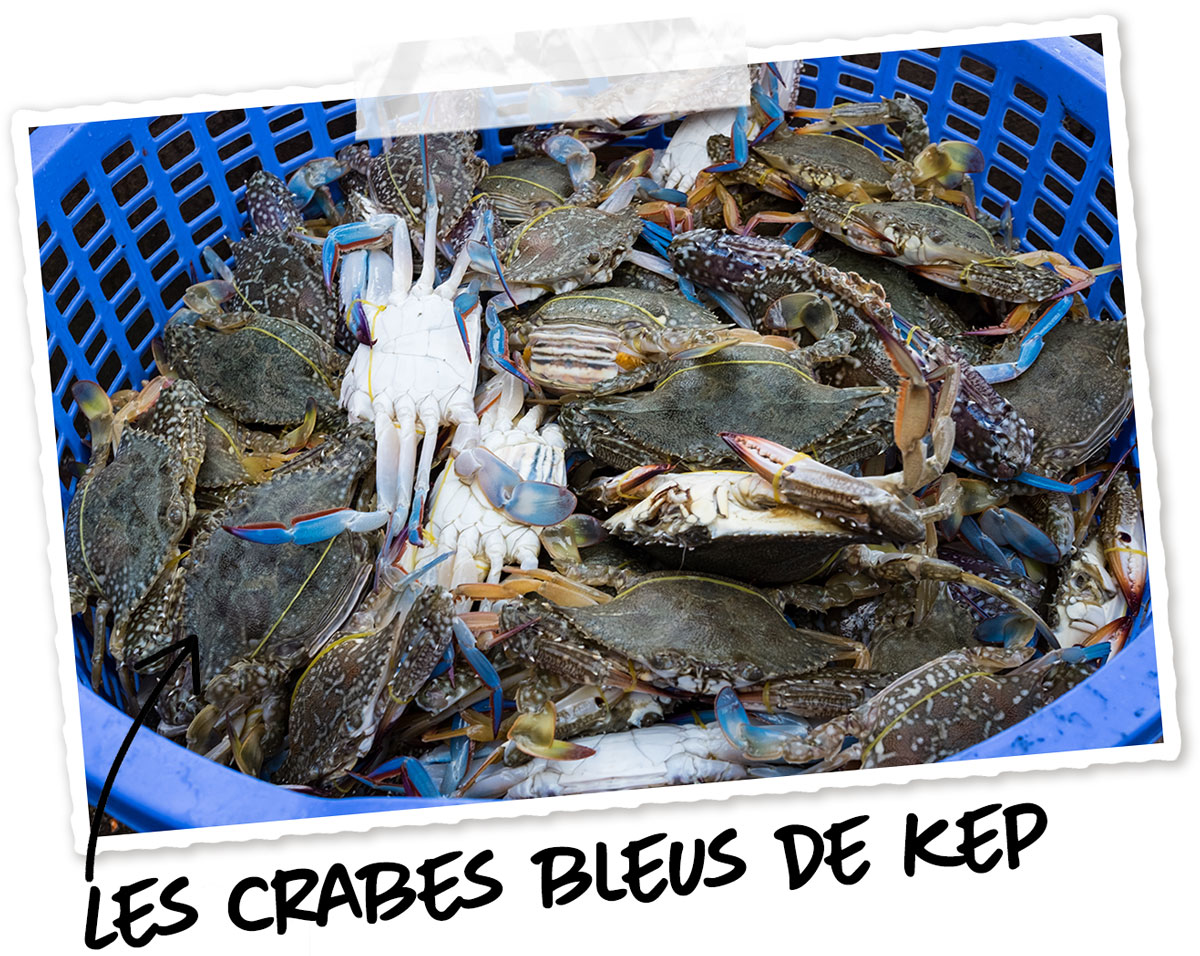 Les crabes de Kep