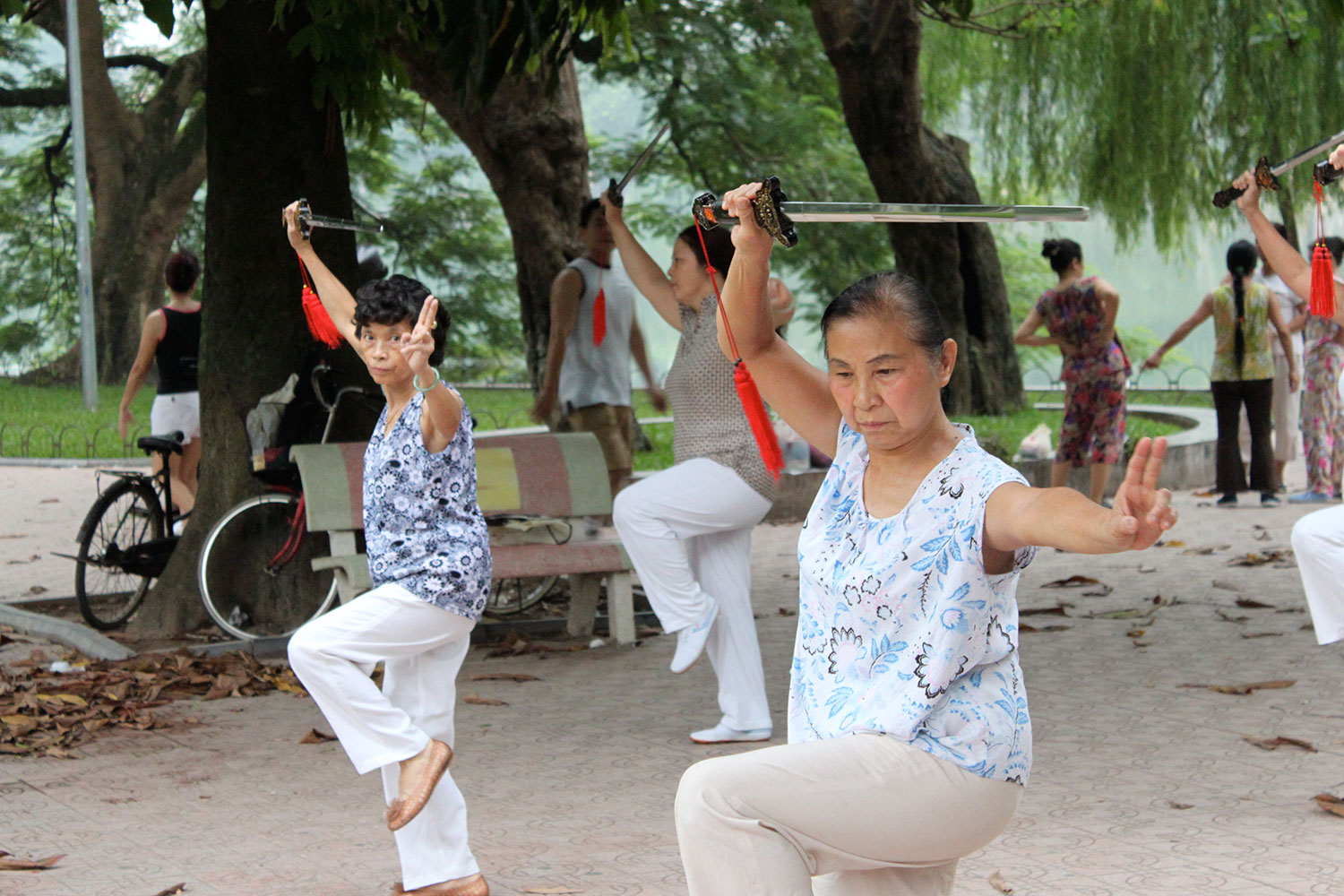 La pratique du Tai Chi au matin au Vietnam