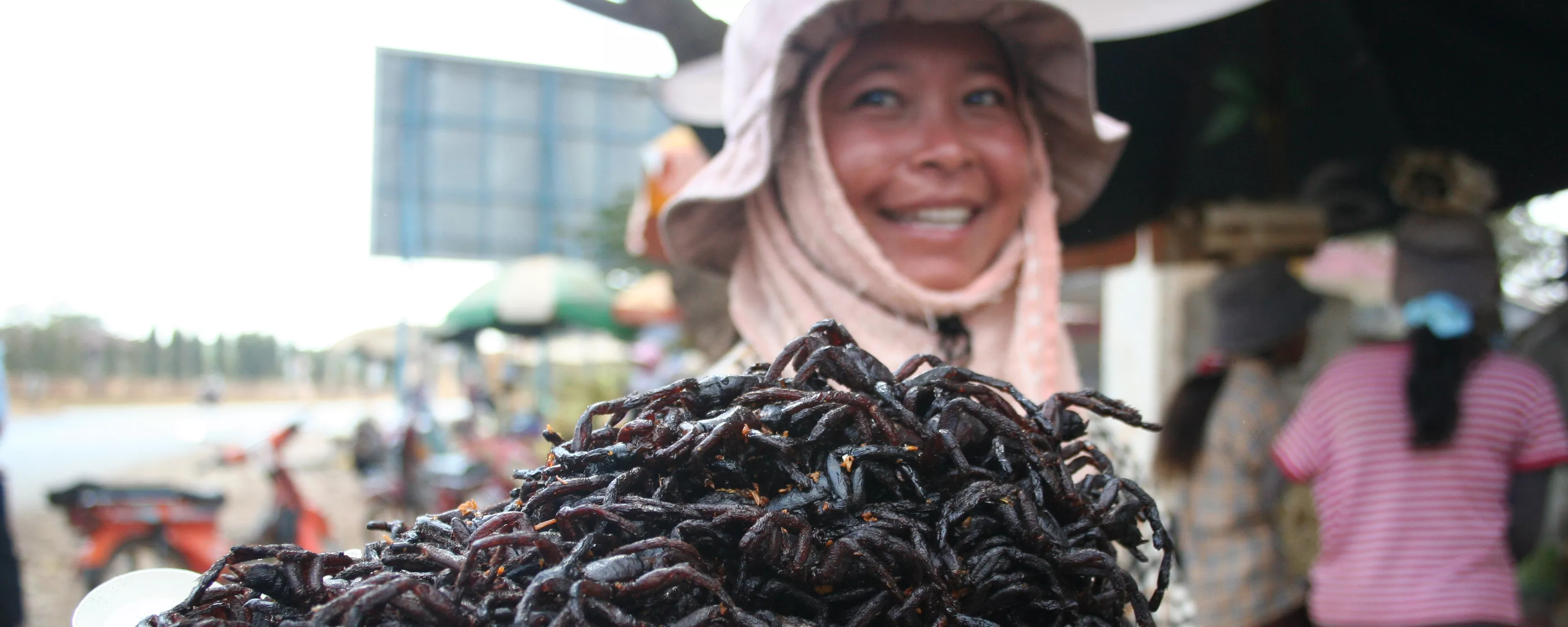 Blog sur les insectes comestibles